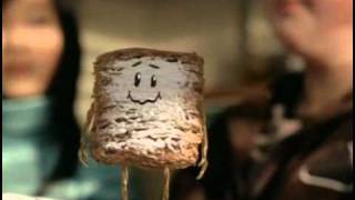 Noah Munck  Frosted Mini Wheats Commercial 2009 [upl. by Alilad301]