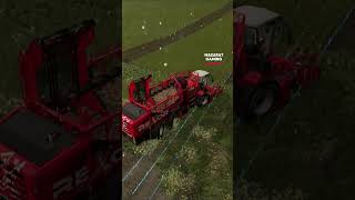 Sugar Beet Harvest with Grimme Rexor 6300 Platinum  Farming Simulator 22 [upl. by Breger776]