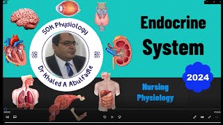 Endocrine System Physiology Nursing 72024 by Dr Khaled A Abulfadle [upl. by Ahsieyk]