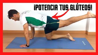 APRENDE a Hacer una EXTENSIÓN de CADERA en Cuadrupedia 💪 EJERCICIO para Glúteos FUERTES ✅ [upl. by Adnirolc363]