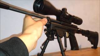 Crosman 2250 overview [upl. by Ennairac918]