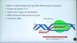 9 06 039  Java 20  Biologji  Biosinteza e acideve nukleike dhe biosinteza e proteinave [upl. by Hnao]