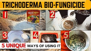 5 UNIQUE Ways of using Trichoderma Biofungicide in Garden  How to Multiply Trichoderma Viride [upl. by Marola927]