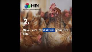 Highly Pathogenic Avian Influenza One Health Concern [upl. by Delphine322]