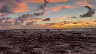 sunrise over Laura Ward Park in Fort Lauderdale florida oceansounds and waves [upl. by Coulter]