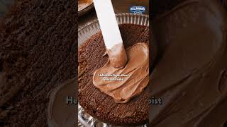 Hellmanns Mayonnaise Chocolate Cake Recipe [upl. by Elliven]