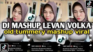 DJ MASHUP LEVAN VOLKA X TUMMERY MASHUP VIRAL TIK TOK TERBARU [upl. by Epp]