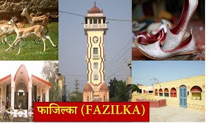 FAZILKA CITY  फाजिल्का शहर  Fazilka Punjab  Fazilka City [upl. by Pride]