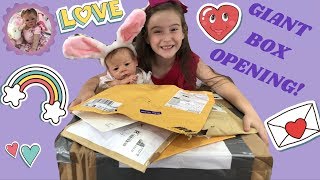 GIANT BOX OPENING for ALIYAH amp the REBORNS [upl. by Helbona740]