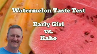 Taste Testing Rare Watermelon Varieties Early Girl vs Kaho gardeningtips [upl. by Namus820]