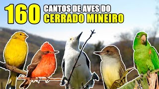 01 160 Cantos de aves no cerrado mineiro [upl. by Jaime]