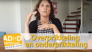 Overprikkeling en onderprikkeling  ADHD centrum Nederland [upl. by Minette]