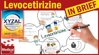 Levocetirizine 5 mg  Xyzal  What is Levocetirizine Used For Dosage Side Effects amp Precautions [upl. by Abramo]