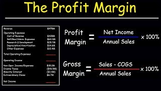 Profit Margin Gross Margin and Operating Margin  With Income Statements [upl. by Adnilem805]