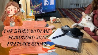 STUDY WITH ME FOR 1 HOUR  pomodoro 305  fireplace sound pomodoro studywithme fireplace [upl. by Atiuqal]