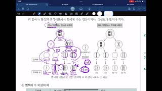 10강2 염색체 돌연변이 [upl. by Assiram]