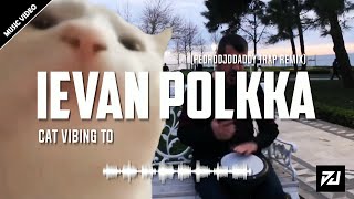 Ievan Polkka PedroDJDaddy Trap Remix Music Video [upl. by Stinky]