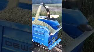 Boost your silage operations with New Hollands tractor and silage machine NewHolland Tractor [upl. by Wade481]