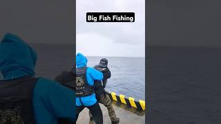 Big fish fishing fishinglife fishtank fisherman fishvideo river aquarium catfish fish craft [upl. by Efi305]