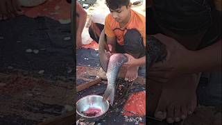 Amazing Goint rohi fish catting skills viralvideo [upl. by Mauretta]