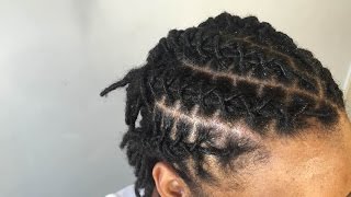 How To Retwist And Style Locs [upl. by Casta]