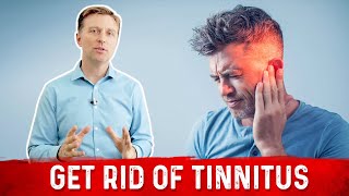 How to Stop Tinnitus Ringing in the Ears – Dr Berg [upl. by Cyna659]