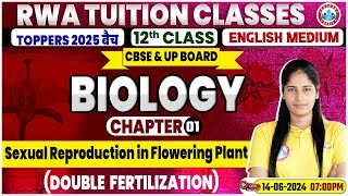 Class 12 Biology Chapter 1  Sexual Reproduction In Flowering Plant By Swabhi Mam [upl. by Eednahs681]