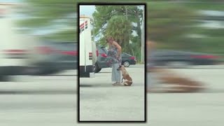 Video shows woman yanking dog on leash [upl. by Culley]