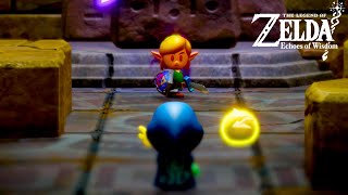 The Mysterious Rifts main quest  The Legend of Zelda Echoes of Wisdom [upl. by Papst914]