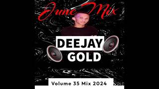 DJ GOLD Volume 35 June Mix 2024 [upl. by Bellaude]