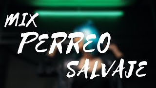 Mix Perreo Salvaje 🔥 OldSchoold  Reggeaton Antiguo Hist 🔥 Dj Anthony Alexander [upl. by Valeda572]