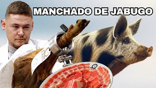 EL JAMÓN MÁS CARO DEL MUNDO [upl. by Sidwohl]