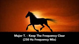 Major T ‎ Keep The Frequency Clear 250 Hz Frequency Mix 1994 [upl. by Eleinad]