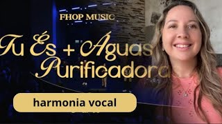 Tu és  Águas purificadoras  Fhop Music  Harmonia vocal mezzo contralto soprano tenor [upl. by Bledsoe]