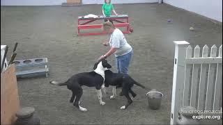 Arena Brekkies DonnaC Lynn IL Minnie n Mickey 662024 exploreorg [upl. by Shaefer]