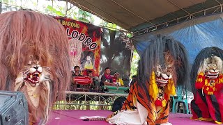 Aksi Rampak Barong Barongan blora seni barong SINGO LODRO live mlangsen [upl. by Barb]