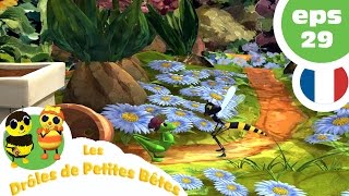 DRÔLES DE PETITES BÊTES  EP29  Qui veut des bisous [upl. by Camellia]