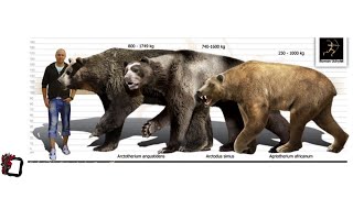 Arctotherium angustidens Arctodus simus and Agriotherium africanum size comparison [upl. by Eened]