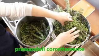 Distillazione olio essenziale Rosmarino  In Herba [upl. by Yvel]