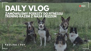 VLOG KUPIŁAM PODESTY DO FITNESSU TRENING PSÓW  CZY RIZZ MIAŁ ATAK W PEŁNIĘ  PAULINA I PSY [upl. by Mall]