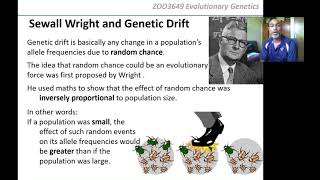 Professor Yoshan Moodley ZOO3649 Evolutionary Genetics  Lecture19 Interacting Forces of Evolution [upl. by Jozef]