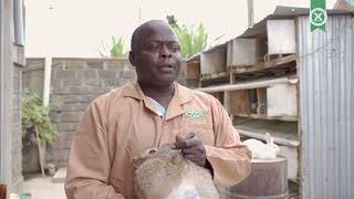 Meat Rabbits Rearing Tips  Japheth Atundo [upl. by Aikmat]