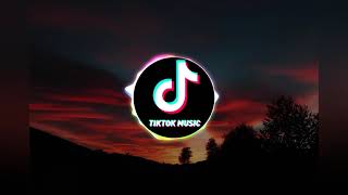 Alien Song  Alien meme TikTok Music [upl. by Tench943]