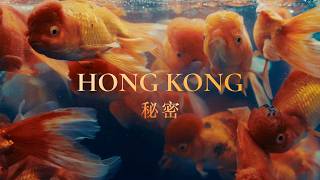 Secrets of Hong Kong  CINEMATIC Short Film  Sony FX3 [upl. by Vasilek]