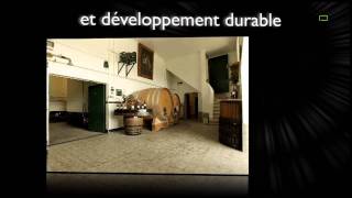 Domaine des Bossons  PeissySatigny  vins dégustation vente [upl. by Amirak]