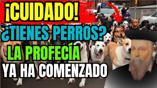 CHOCANTE Lo Que Nostradamus Predijo Para Quienes Tienen PERRO EN CASA  Profecías Reveladas [upl. by Artiek]