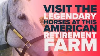 EVER WONDERED WHAT A RACEHORSE RETIREMENT HOME IS LIKE  Old Friends Farm [upl. by Weirick171]