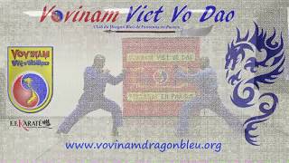 Vovinam Techniques de Ciseaux par Gilles CROZONCAZIN Club Vovinam Aérobic [upl. by Giacamo]