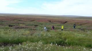 The Big Thaw GroundTruthing Permafrost in Alaska [upl. by Buskirk659]