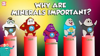 Why Are Minerals Important  Functions Of Minerals  The Dr Binocs Show  Peekaboo Kidz [upl. by Meeharb346]